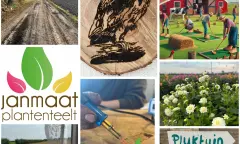 Overzicht activiteiten