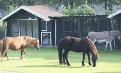 Kinderboerderij De Veldhoeve