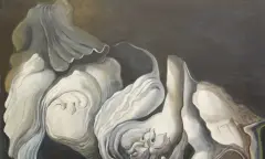 Doeken - Loe Jonas