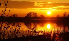 Vaarexcursie Naardermeer Op avontuur in het avonduur