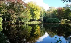 Bomenpracht op Landgoed de Braak en Vennebroek