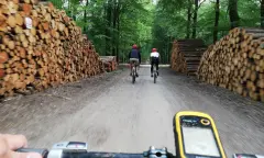 Fietsen door het bos