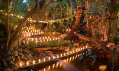 WinterDroom kaarsjesavond - Junglepark de Orchideeën Hoeve