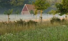 Ochtendwandeling over landgoed Mentink