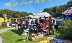 Gezellige rommelmarkt