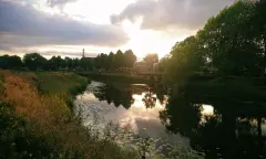 Natuur in Den Bosch