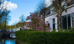 Amersfoort als canvas