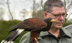 Vogel uitje