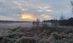 Lange afstandswandeling door natuurgebied Kleine Meer