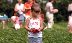 Kind met aardbeien in haar hand