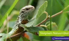 Excursies Slotplaats Natuurrijker