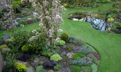 Voorjaar in de tuin