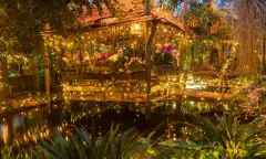 WinterDroom kerstlampjes - Junglepark de Orchideeën Hoeve