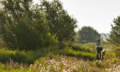 Stiltewandeling op Tiengemeten