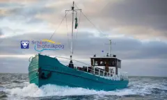 Robbentocht vanaf Schiermonnikoog