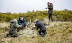 Fauna en flora fotograferen op Schiermonnikoog