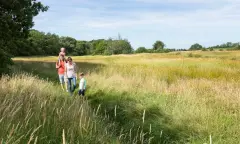 Proef de lente in het Dal van de Ruiten Aa