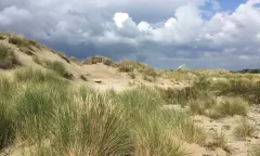 Winterse wandeling met snert door Voornes Duin