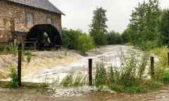 Klimaatwandelen met de boswachter