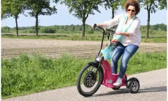 Swingtrike in de Peel