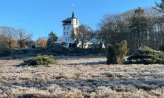 Op stap met de boswachter op de Sprengenberg