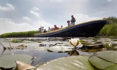 Varen door natuurgebied Botshol in Utrecht