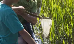OERRR Watersafari Ankeveense plassen