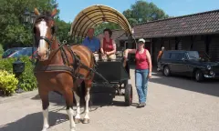 Paard en wagen op boerderij
