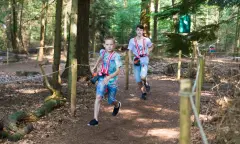 Kinderen Spelen in het Bos