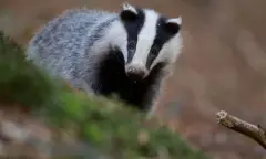 De bewoners van het Noordlaarderbos