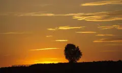 Avond op Veluwezoom