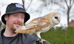 Valkenier met uil