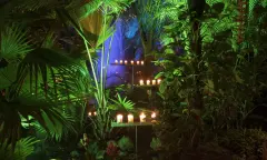 WinterDroom ontstoken kaarsjes - Junglepark de Orchideeën Hoeve