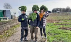 Allereerste plantjesmarkt tuinderij