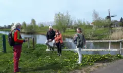 Lekker wandelen rondom de rivier de Aa bij de Kilsdonkse molen