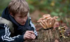 OERRR op zoek naar paddenstoelen in Oisterwijk (8 t/m 12 jaar)