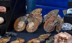mineralen