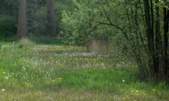 Zwerven over de Veluwezoom  Soerensebeek en Schaddevelden