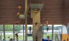 Indoor schoonspringen zwembad