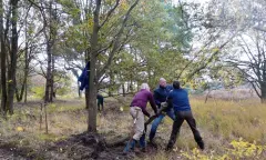 Help de boswachter in Twente