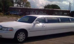 Limousine