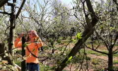 Spel in de natuur