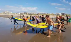 Actief Uitje Surfen