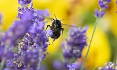 OERRR insectenhotel maken