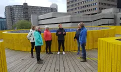 Gids in Rotterdam