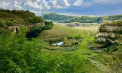Excursie: Wandel mee met de boswachter door de ENCI-groeve in natuurgebied Sint-Pietersberg nabij Maastricht