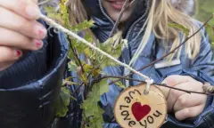 Boomplantdag Reeënberg: plant jouw boom met jouw verhaal