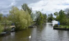 De Vecht