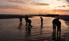 Avondwad Schiermonnikoog