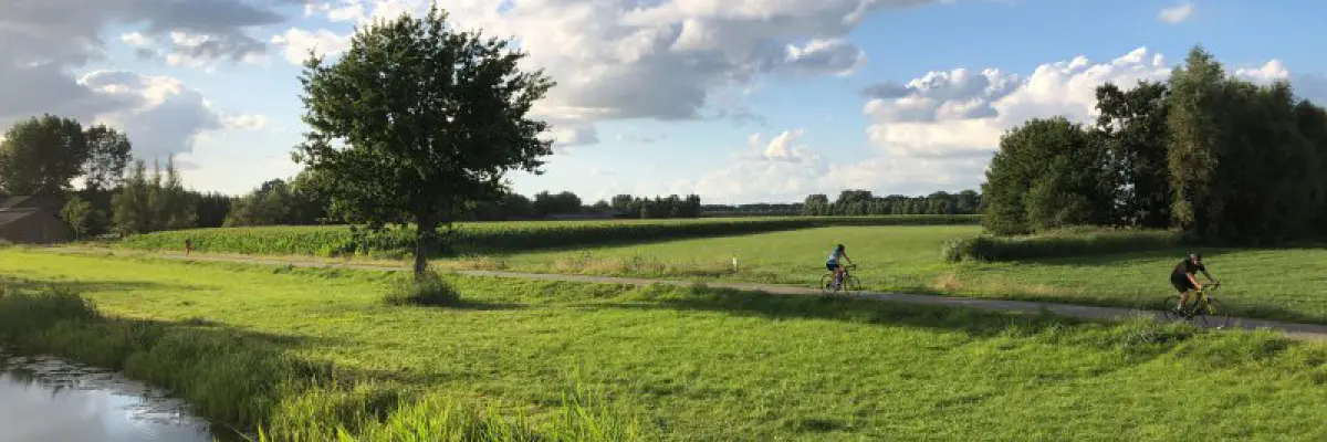 De Nederlandse Sahara